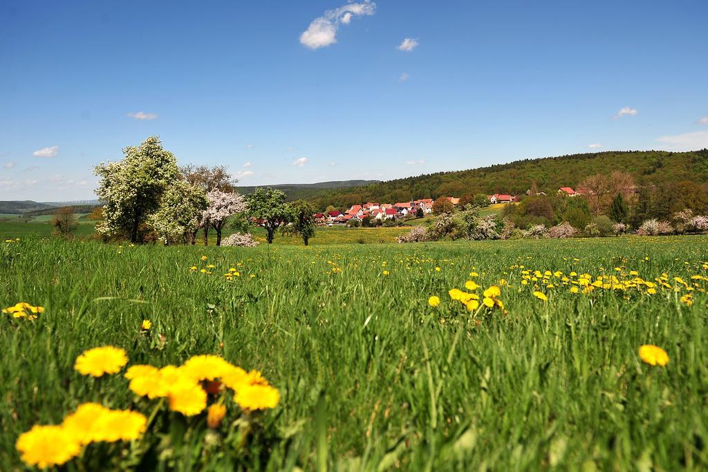 Landhotel Zur Gruenen Kutte Bernshausen Kültér fotó