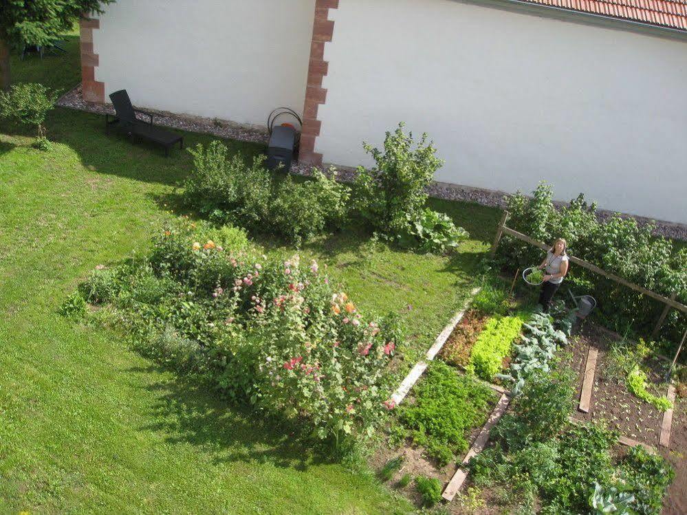 Landhotel Zur Gruenen Kutte Bernshausen Kültér fotó